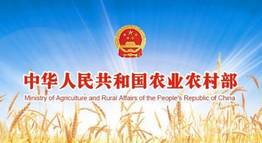 2020年中央一号文件公布!多举措加快恢复生猪生产! - 猪好多网