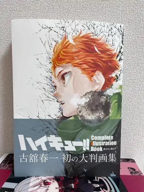 太喜欢小排球了今天去书店发现了这本画集