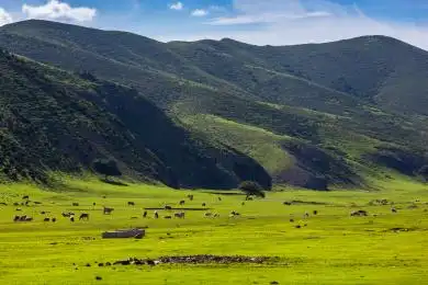 扎鲁特旗山地草原 科尔沁左翼后旗