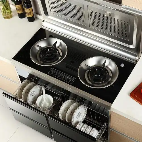 d·boni/迪博尼 侧吸一体排式式自燃气灶 c2