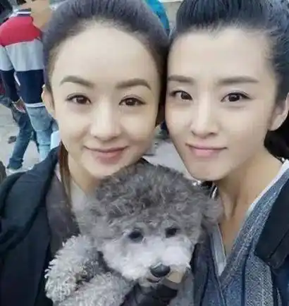 明星对赵丽颖的八卦_赵丽颖这么受欢迎!她居然和关晓彤还有这种关系.