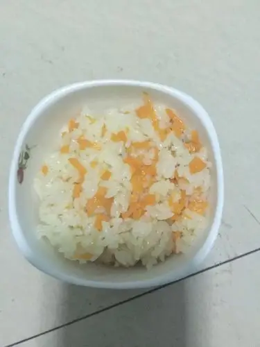 胡萝卜焖米饭的做法_菜谱_豆果美食