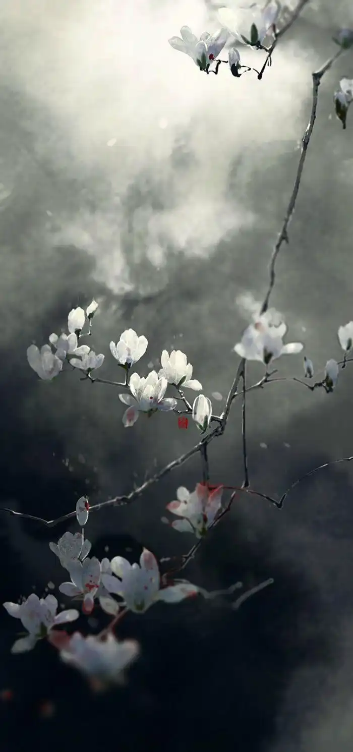 惊艳的古风壁纸