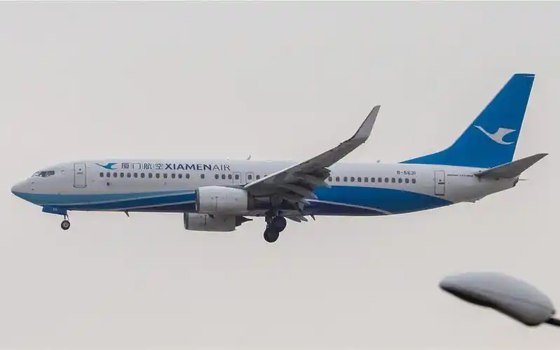 罕见的小白鹭光临首都机场 厦门航空 mf8015 b737-85c b-5631 pek跑道