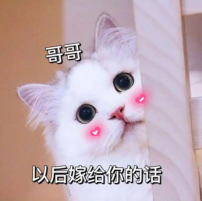 可以吗可以吗可以吗#撩男朋友表情包 #发给对象表情包 #猫咪 - 抖音