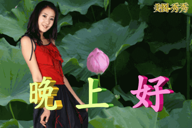 晚安问候语温馨短语,幼儿园晚安问候语温馨短语(2022最新漂亮的晚上好