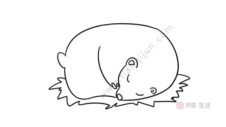 冬天动物冬眠简笔画教程