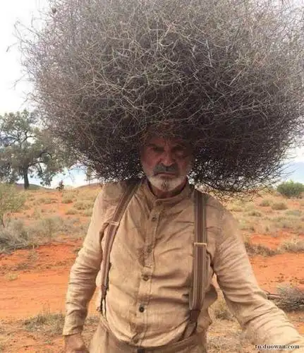 搞笑趣图——贫穷限制了我的味蕾 和想象