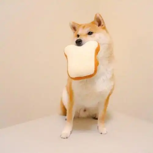 咬面包玩具