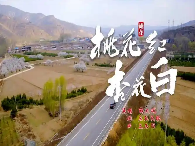 黄土情歌音乐mv桃花红杏花白演唱薛义斌