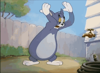 今日搞笑动态图:向太称郭碧婷答应生三胎_手机搜狐网