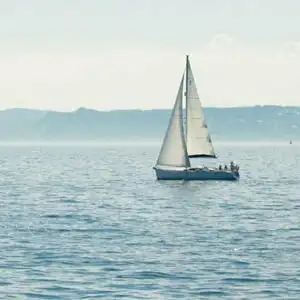 搜索 抖音号:  1193459273 乘风而来,随风而去.海阔天空自有我风采!