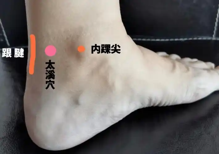 秋燥来临,可以选择滋阴效果很强悍的它来滋润!