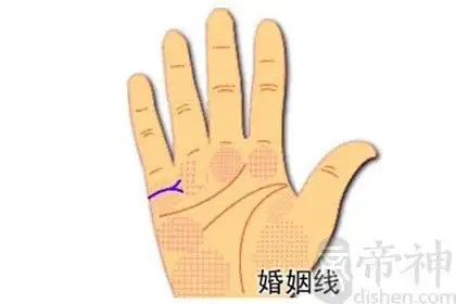 可能分居,离婚的婚姻线末端分叉图解