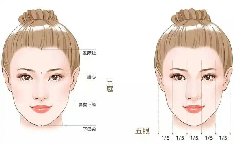 毛老师说过:化妆的重点是调整三庭五眼的比例为了研究毛戈平化妆术