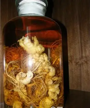 三七泡酒有什么功效:具有散瘀止痛,活血化瘀,对于经常外出干活所引起