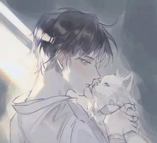 温柔治愈男生头像高清,简单干净好看头像男生图2