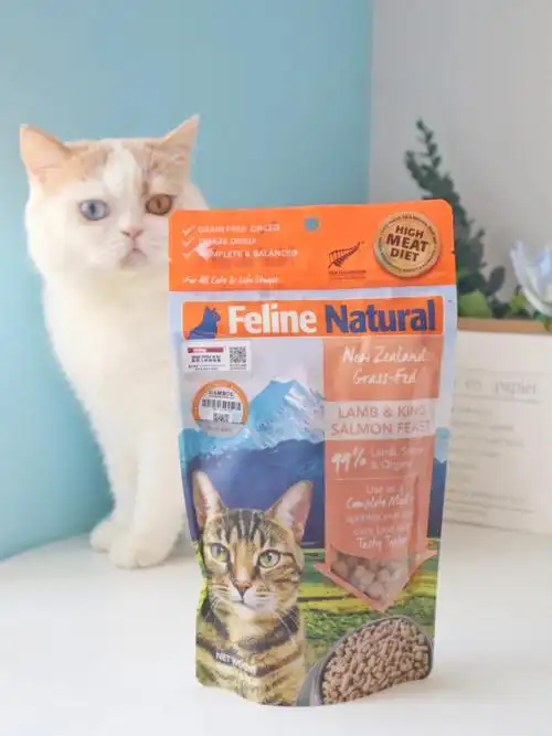 有一只异瞳喵也太可以了8