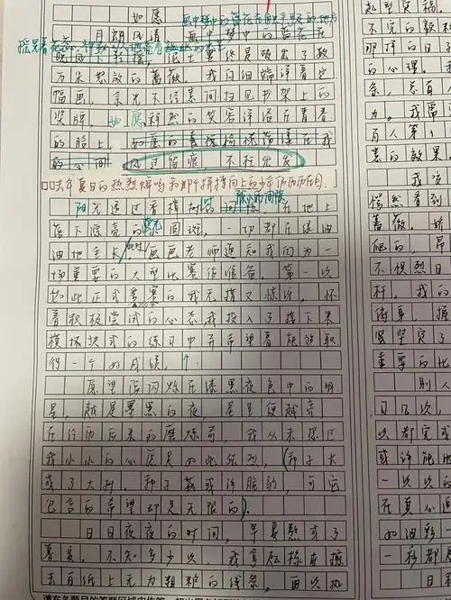 中考生作文求指导