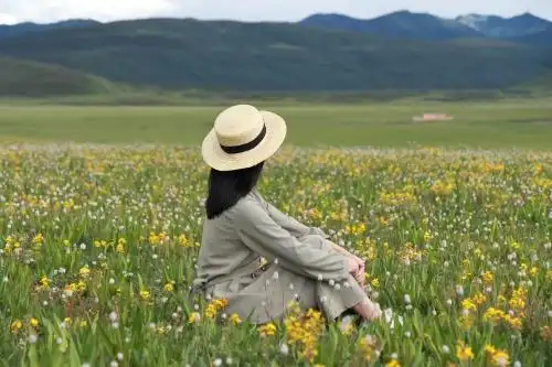 在草原花海中看风景的的年轻女人