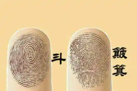 手指0个螺纹代表什么?(想要详细点的答案)