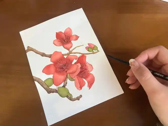 木棉花#自学水彩  #水彩  #水彩花卉  #水彩画  #水彩画教程  #水彩