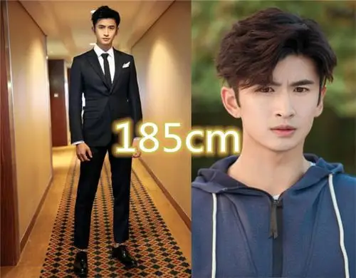 嘉行男星平均身高185张云龙刚刚好看到他难怪杨幂力捧