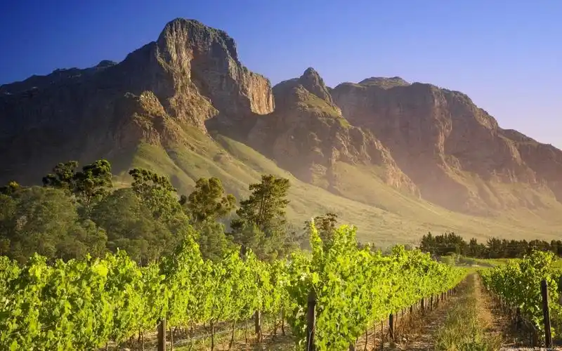 视窗7山地壁纸640x1136分辨率查看