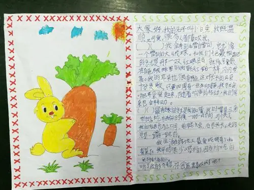 三(5)班优秀动物名片展示