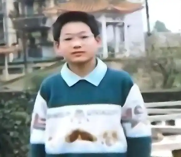 改嫁,30年后儿子事业有成,她要认回儿子|春丽|杨广|杨洋_网易订阅