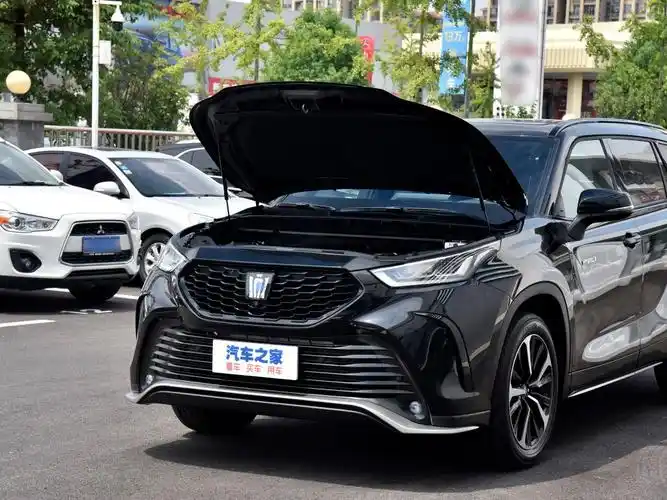一汽丰田 皇冠陆放 2021款 2.5l hev四驱尊贵版