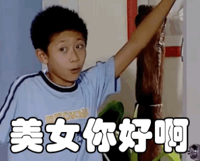 家有儿女表情包:美女你好啊(刘星)