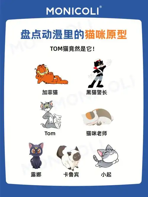 黑猫警长不是黑猫75动漫猫咪原型大揭秘