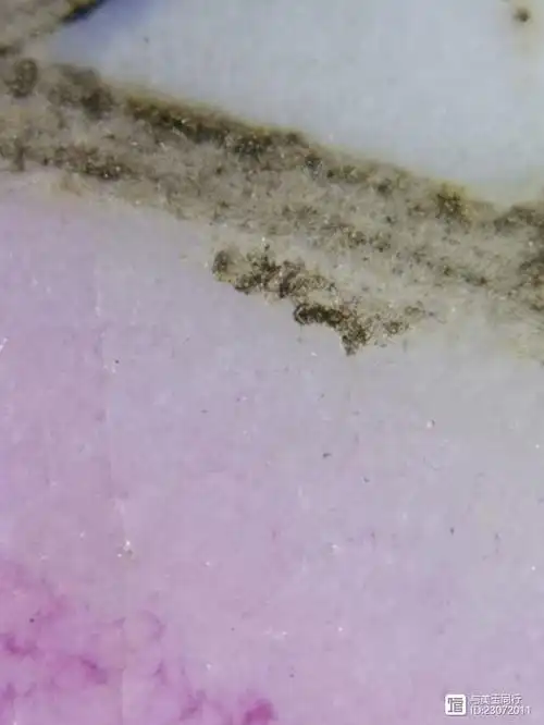 清三代官窑粉彩瓷器气泡高清图