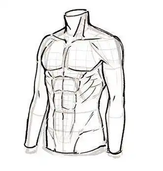 男生上半身怎么画教你上半身肌肉的画法教程