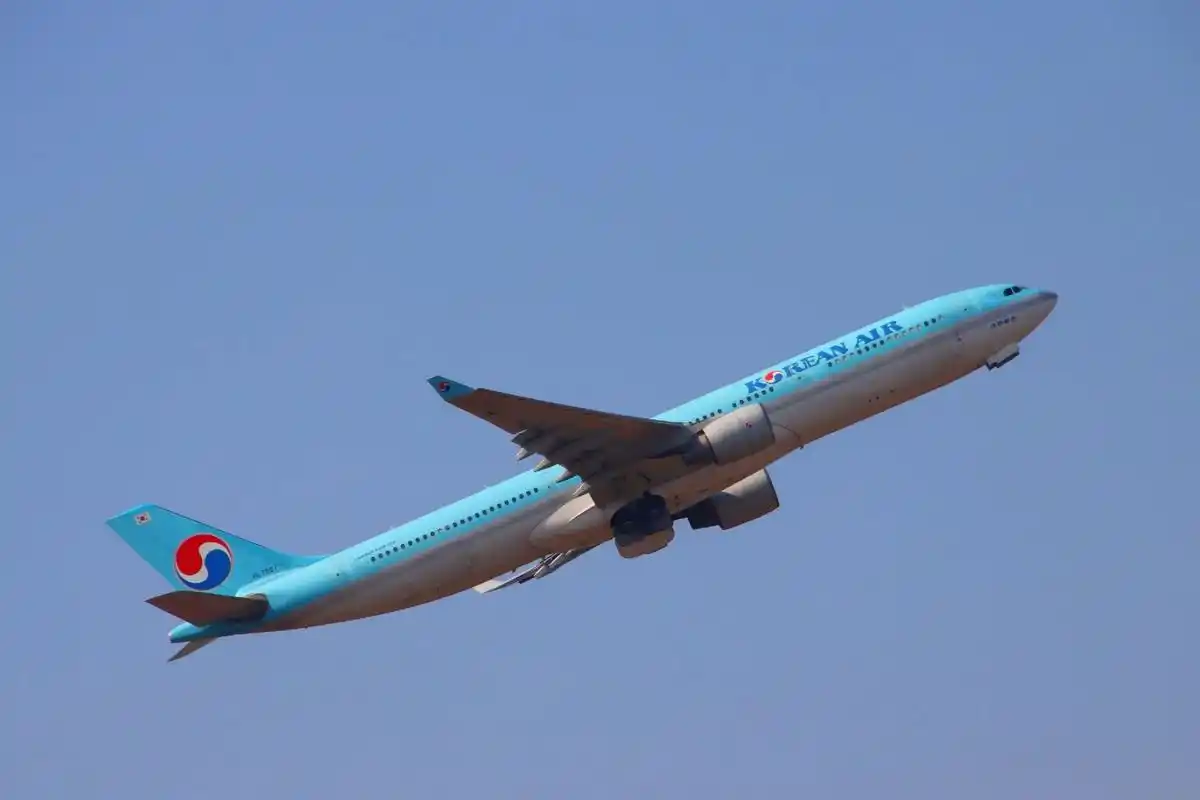 飞机起飞时的姿态是最美丽的了吧,他们的向 - 抖音