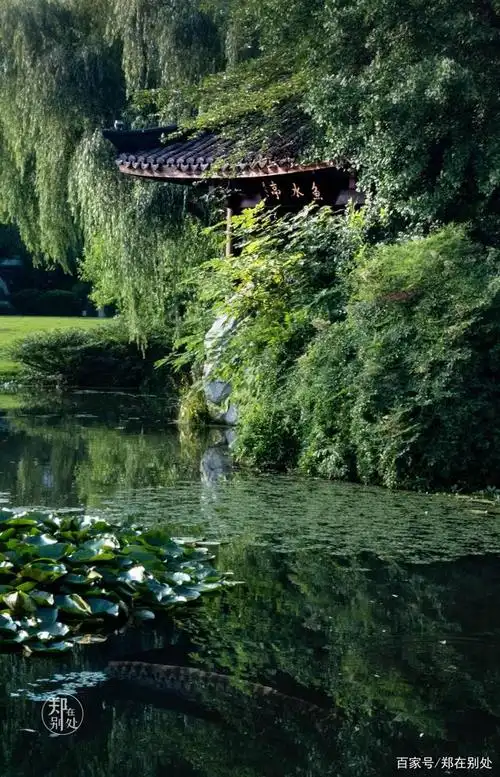 杭州微旅行:西湖边的柳浪闻莺,值得去玩吗?
