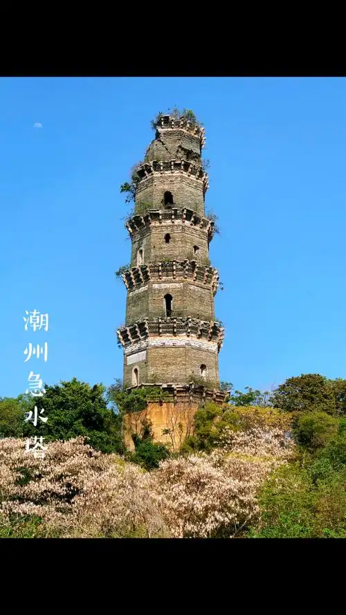 位于广东省潮州市江东镇的鲤鱼山上的急水塔又名三元塔.