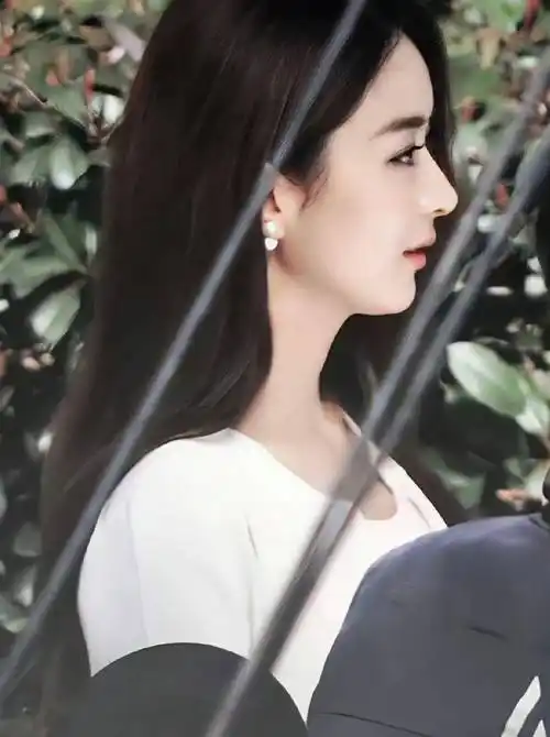看了赵丽颖的侧脸,才知道这种"鼻子"有多完美!