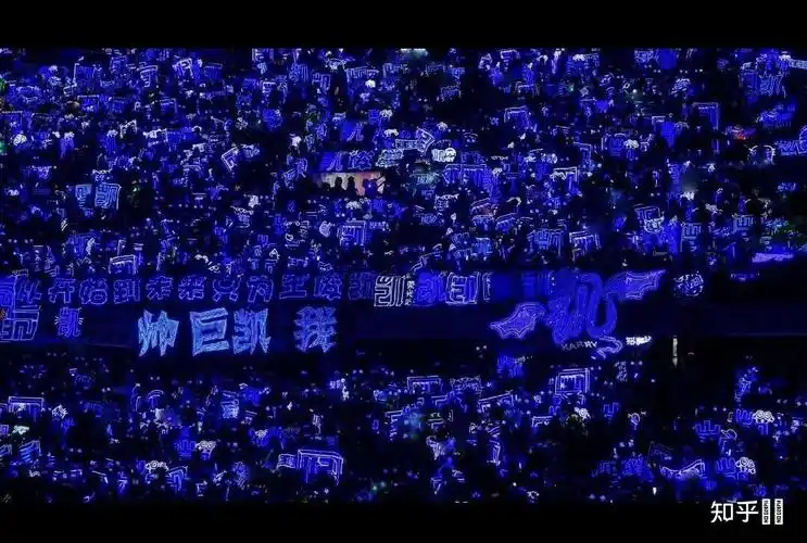 王俊凯的应援色到底什么颜色