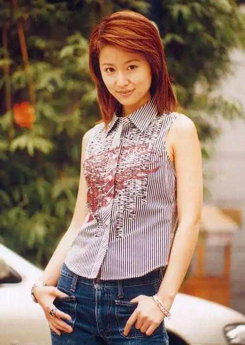 《男才女貌》中的绝世美人:为何林心如成为观众心中的最美?