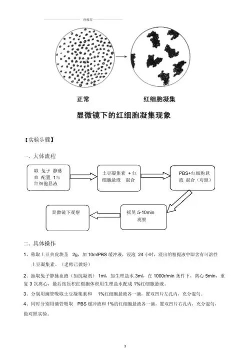 细胞凝集反应实验报告