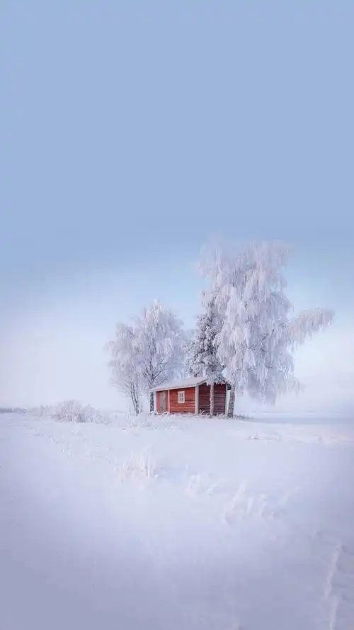 冬季雪景唯美风景手机壁纸图片