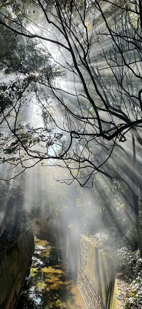 壁纸 风景 690_1494 竖版 竖屏 手机