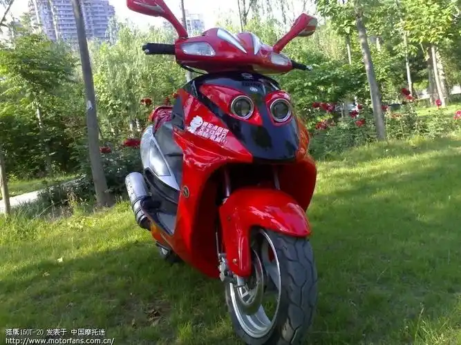 大家都来晒晒雷克猎鹰