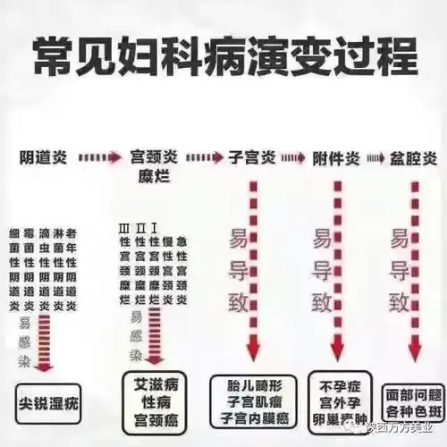 妇科指标对照表,人手一份