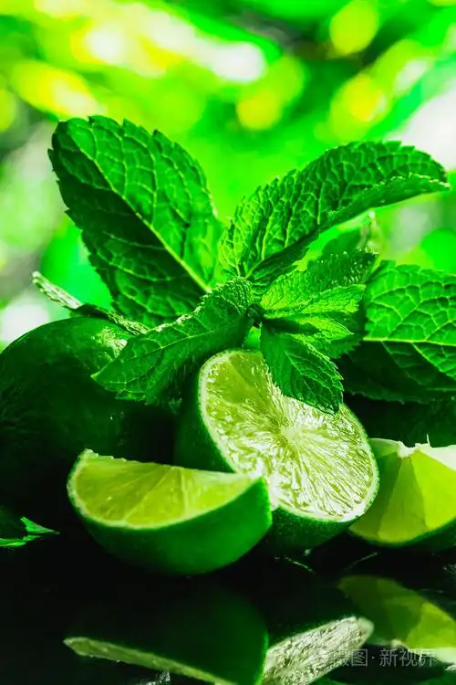 新鲜的绿色薄荷和石灰特写,在深色背景上照片-正版商用图片1pgw80-摄