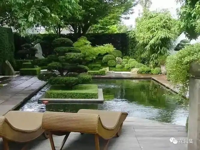 一个水池,庭院瞬间凉快了