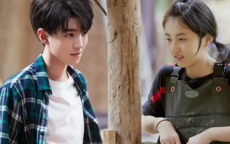 活动作品正式版甜蜜发酵王俊凯张子枫