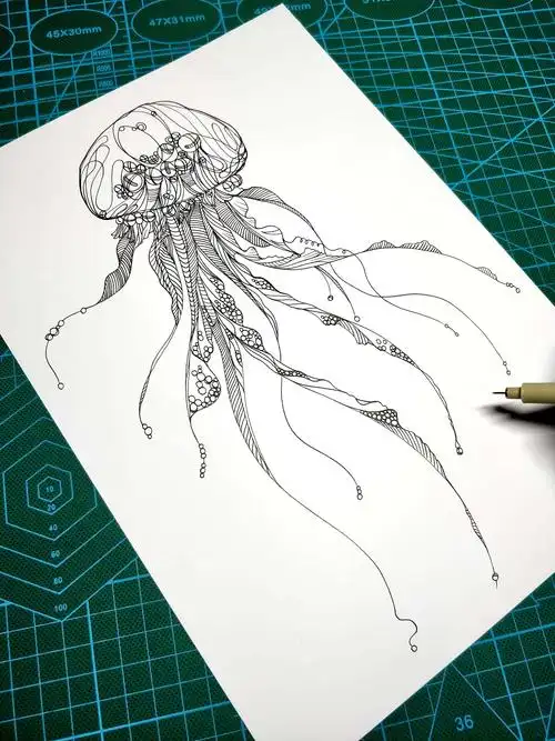 一组黑白水母插画